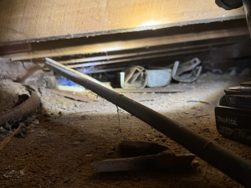 Bare subfloor with exposed ground