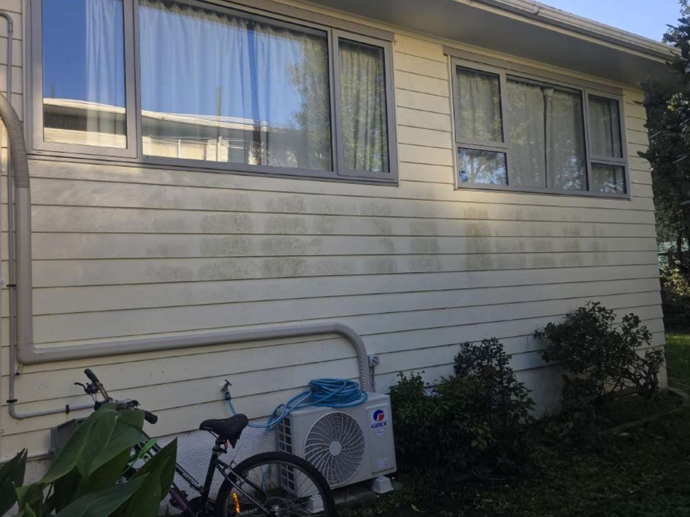 Weatherboard wall with green algae staining
